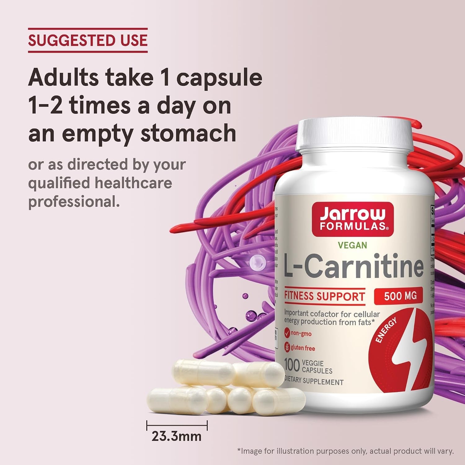 L-Carnitine 500 mg – 100 Capsules for Energy Support & Fat Metabolism