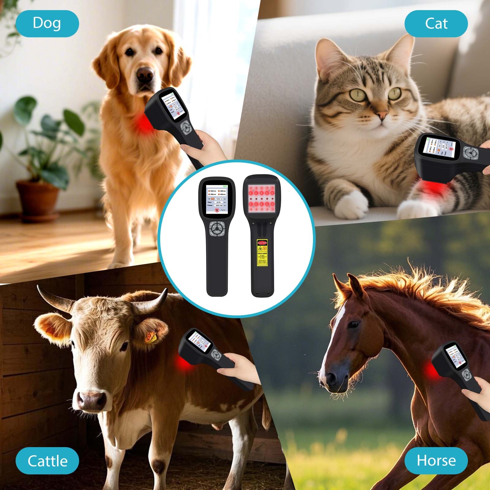 650nm 808nm 905nm 980nm Cold Laser Therapy Device for Sciatica Back Pain