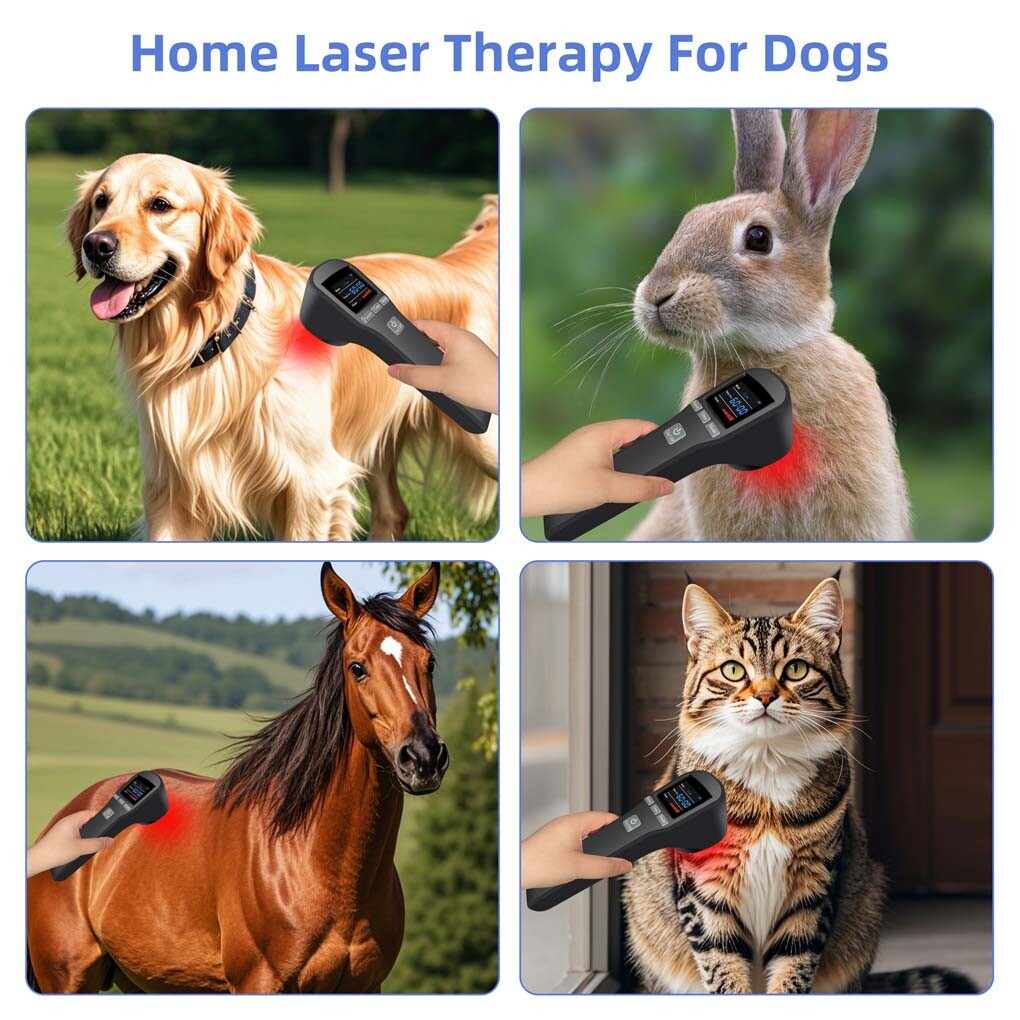 Pain Management Laser Therapy LLLT Device for Arthritis Back & Joint Pain 880mW