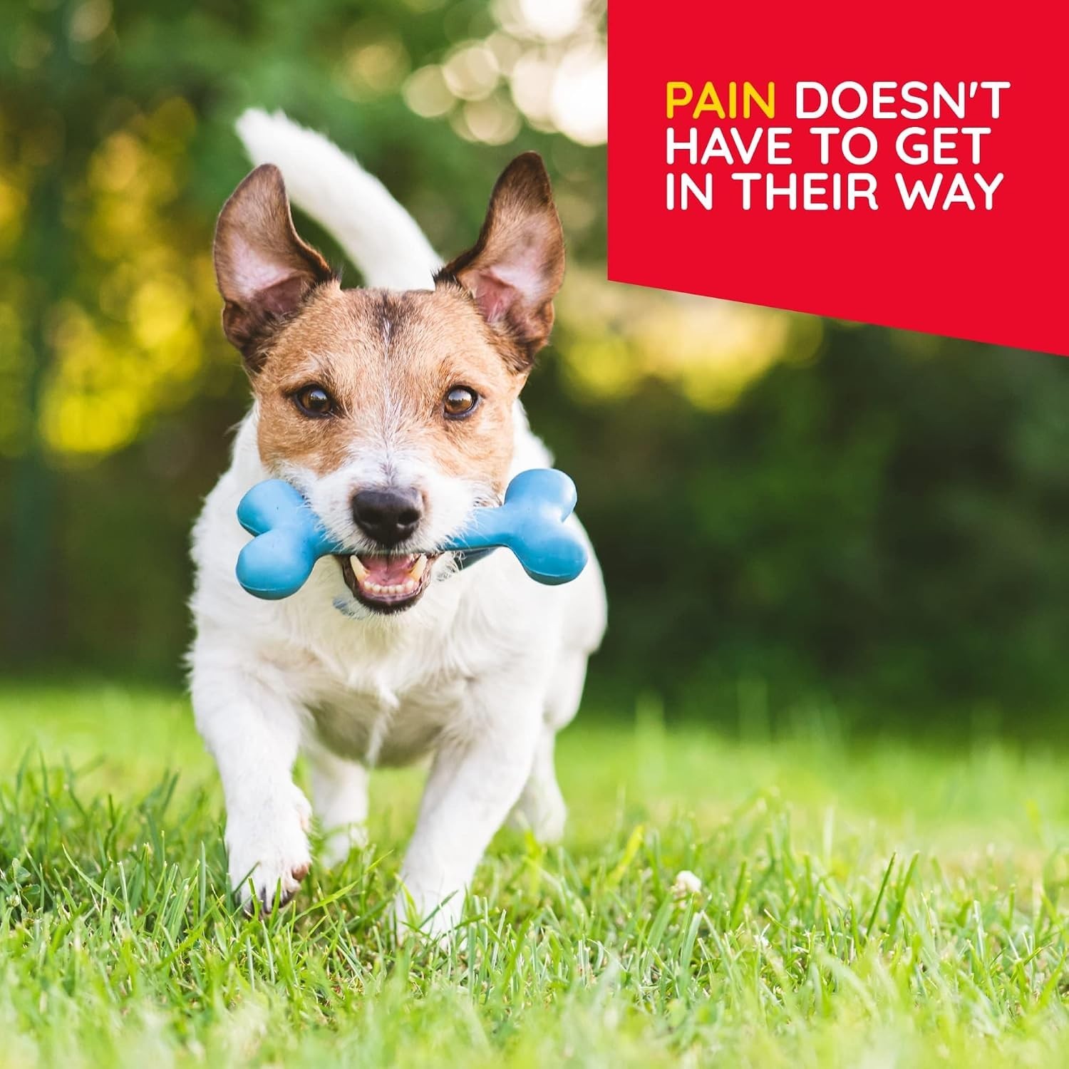 1.69oz T-Relief Pet Pain Relief Drops – Soothe Muscle and Joint Pain Naturally