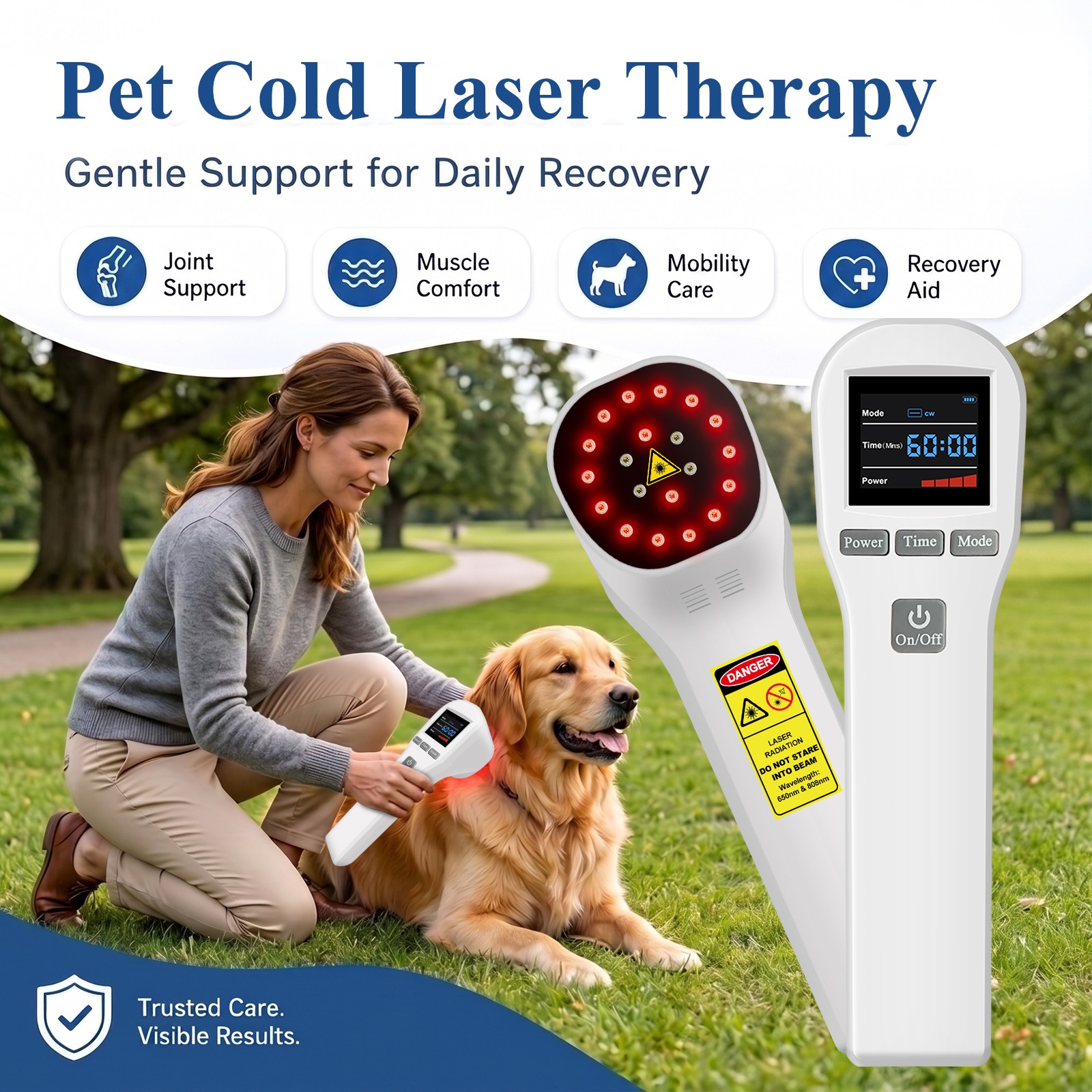 880mW 650nm 808nm Cold Laser Therapy Instrument for All Body Aches and Pains