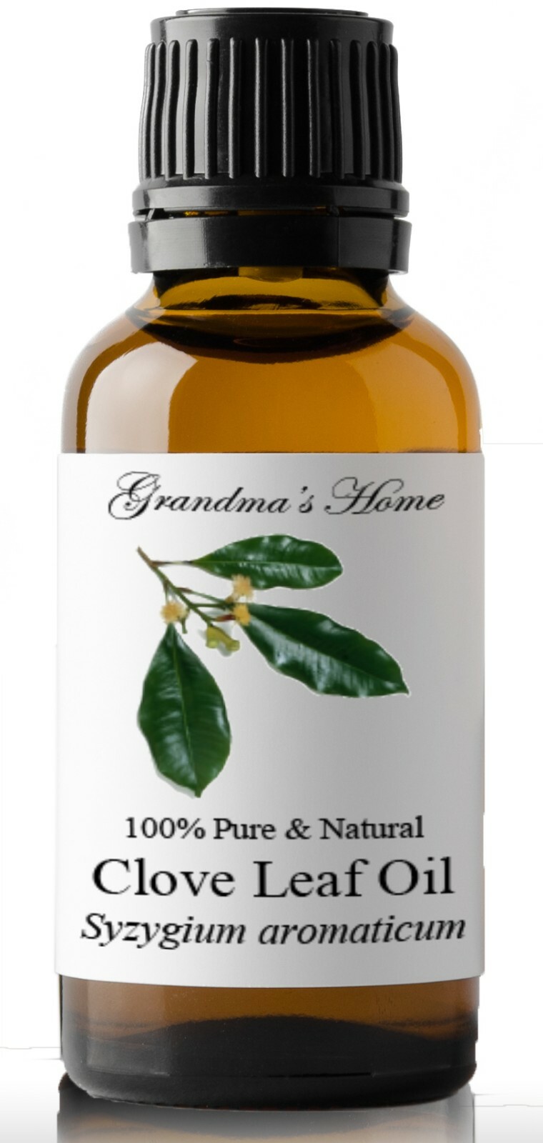 Clove Leaf Essential Oil – 100% Pure and Natural – US Seller!