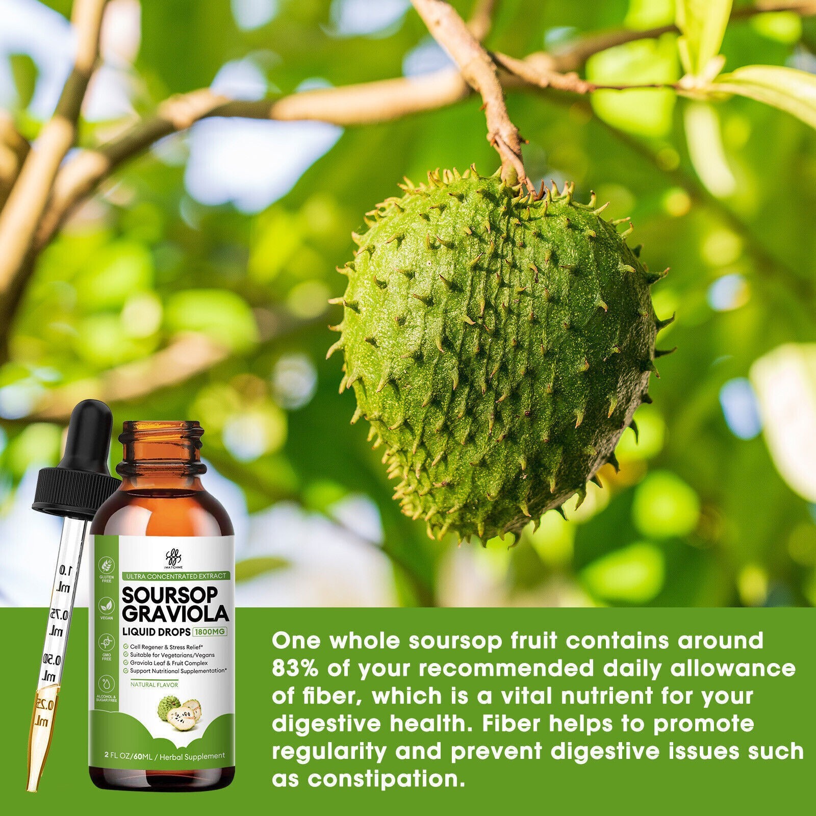 Soursop Graviola Extract Liquid Drops 2100mg Support Regeneration, Immune Boost
