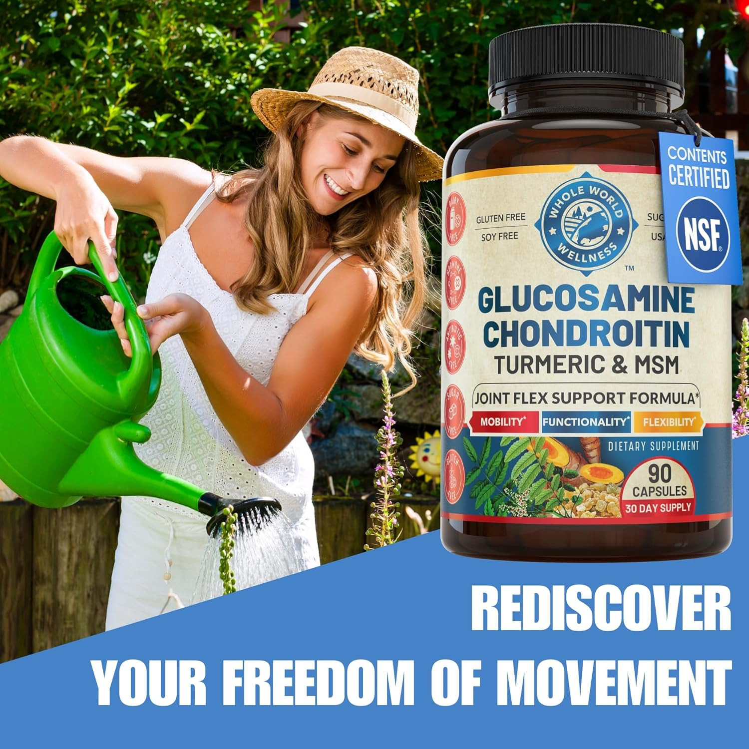 Whole World Wellness Glucosamine Chondroitin MSM Turmeric Joint Support