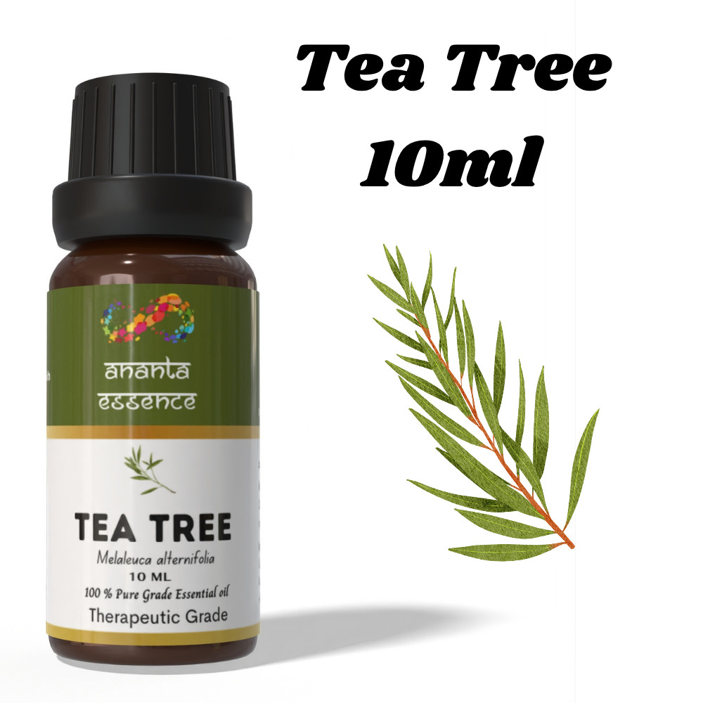 Ananta Tea Tree Essential Oil 10ml Pure Natural Aromatherapy Diffuser Oil