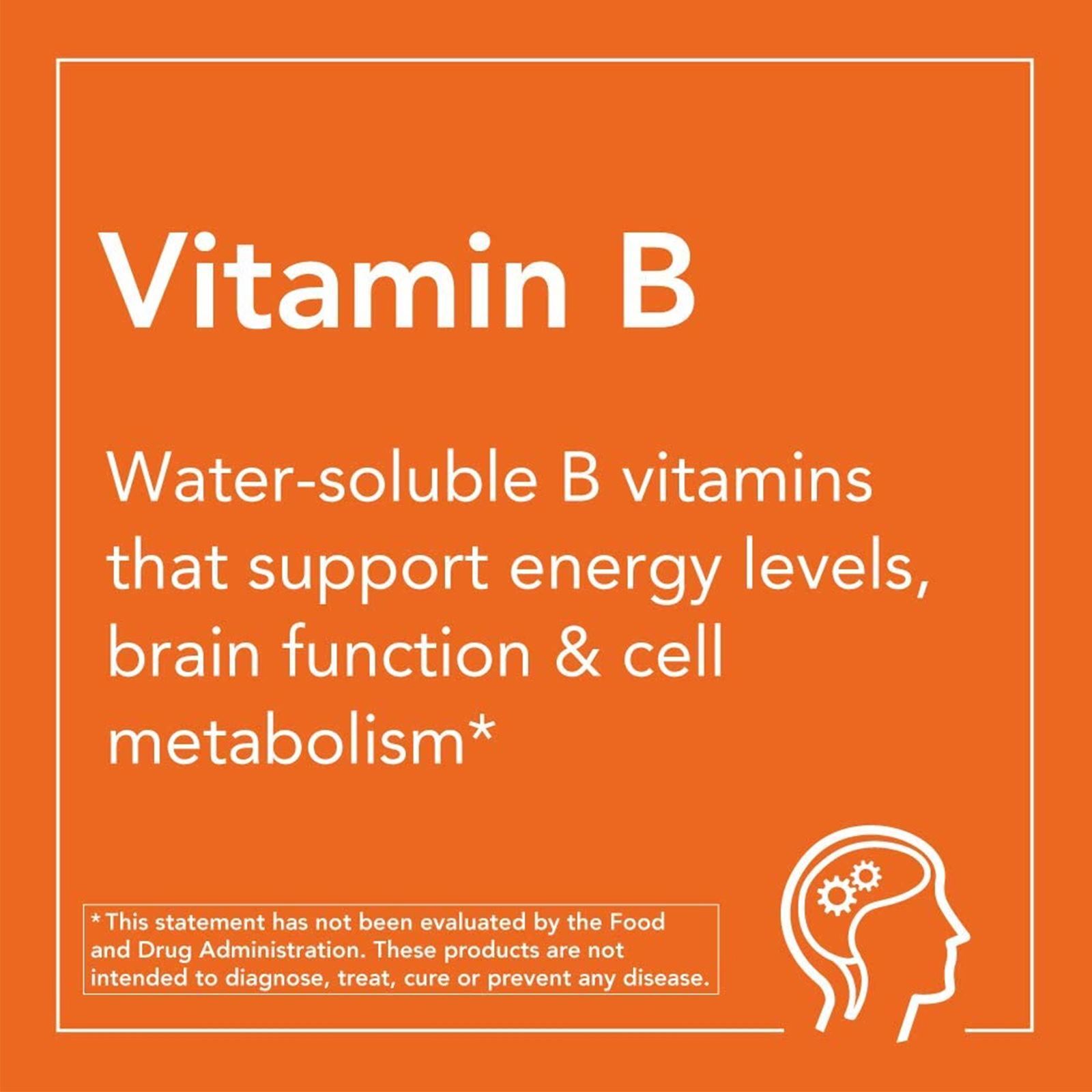NOW FOODS Vitamin B-6 100 mg 250 Veg Capsules