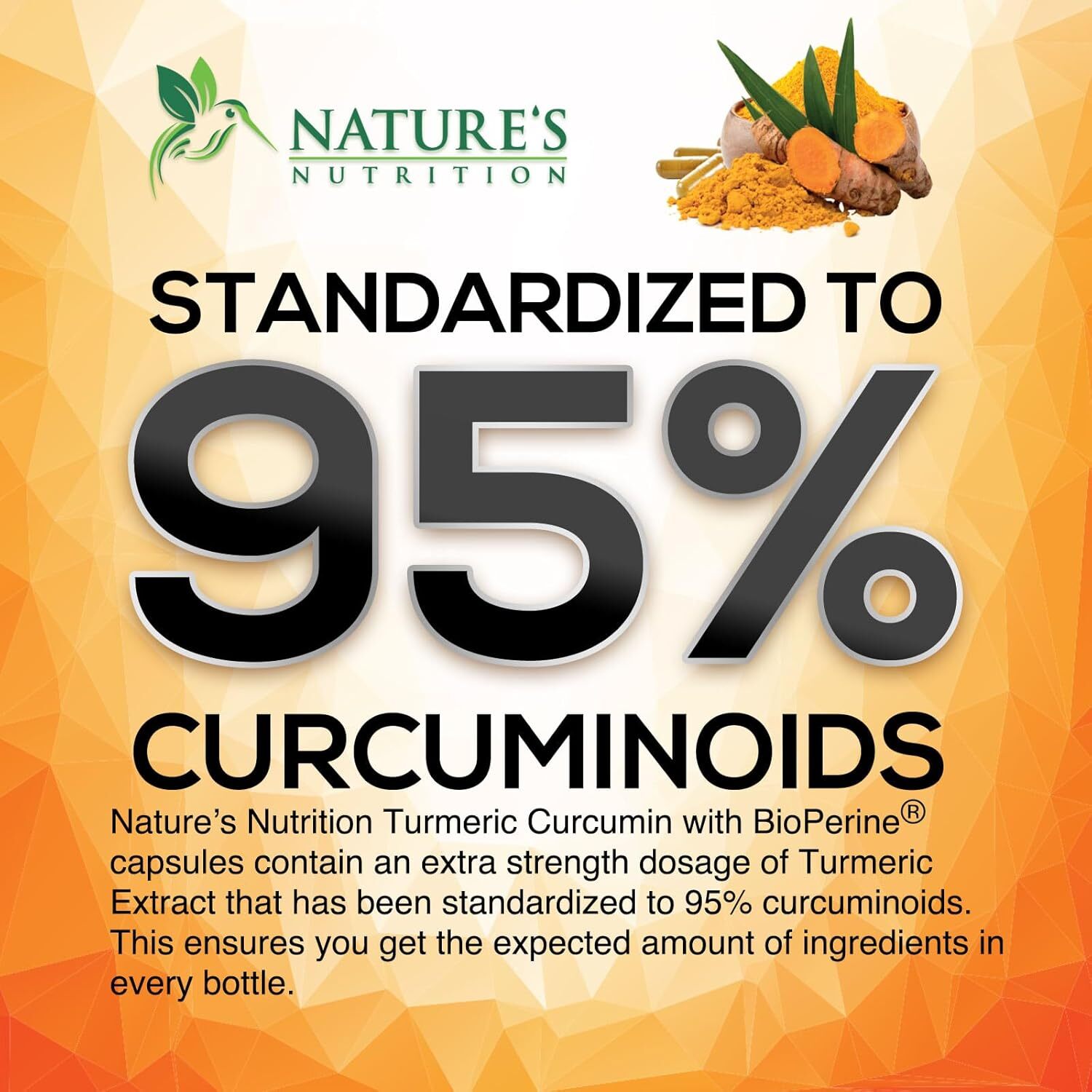 Turmeric Curcumin with Bioperine 2600mg High Absorption Triple Strength Capsules