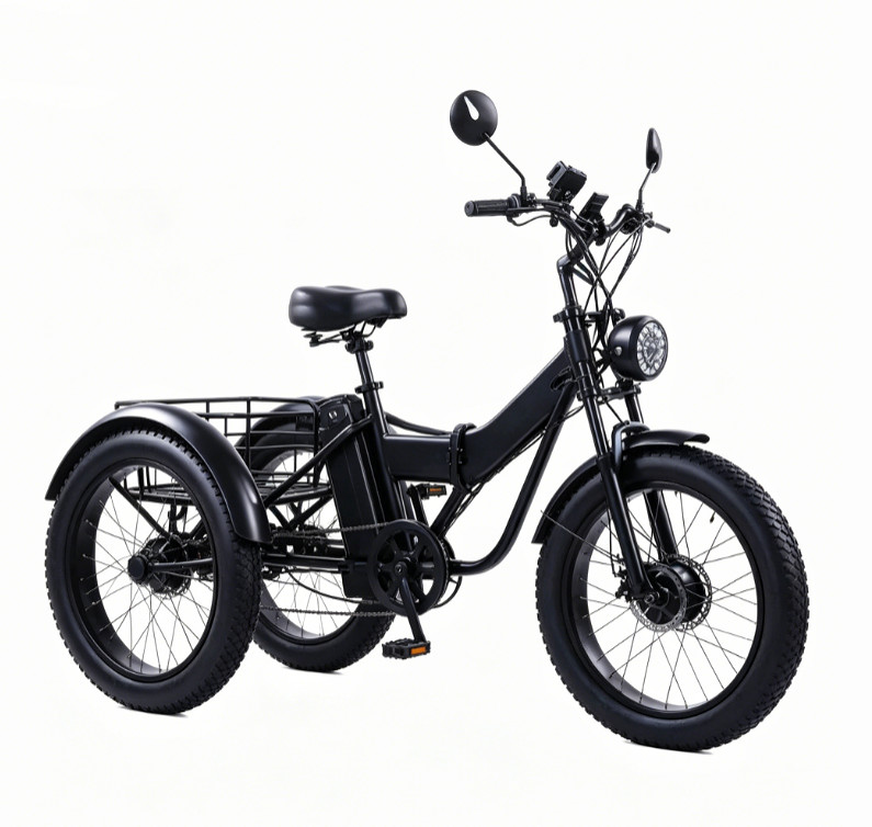 Daibot 24 Inch Fat Tire Electric Tricycle 750W Adults Snow Mountain Cargo Bike