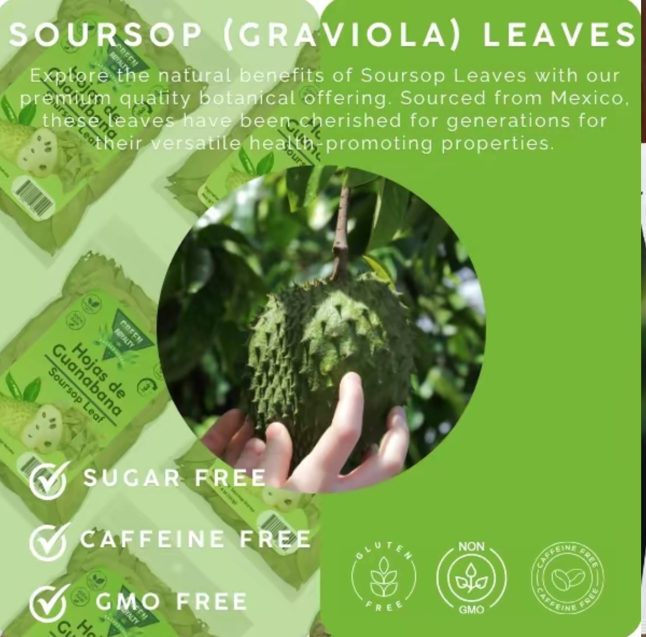 Organic Soursop Leaves Graviola Leaves Hojas de guanabana MADE IN MEXICO 400pcs