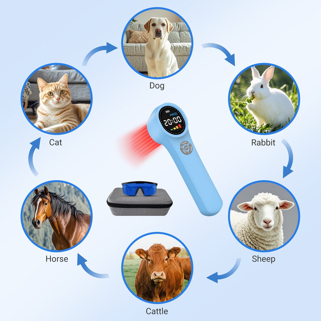 Home Use Cold Laser Therapy Device 1760mW for Back Knee Shoulder Comfort Daily
