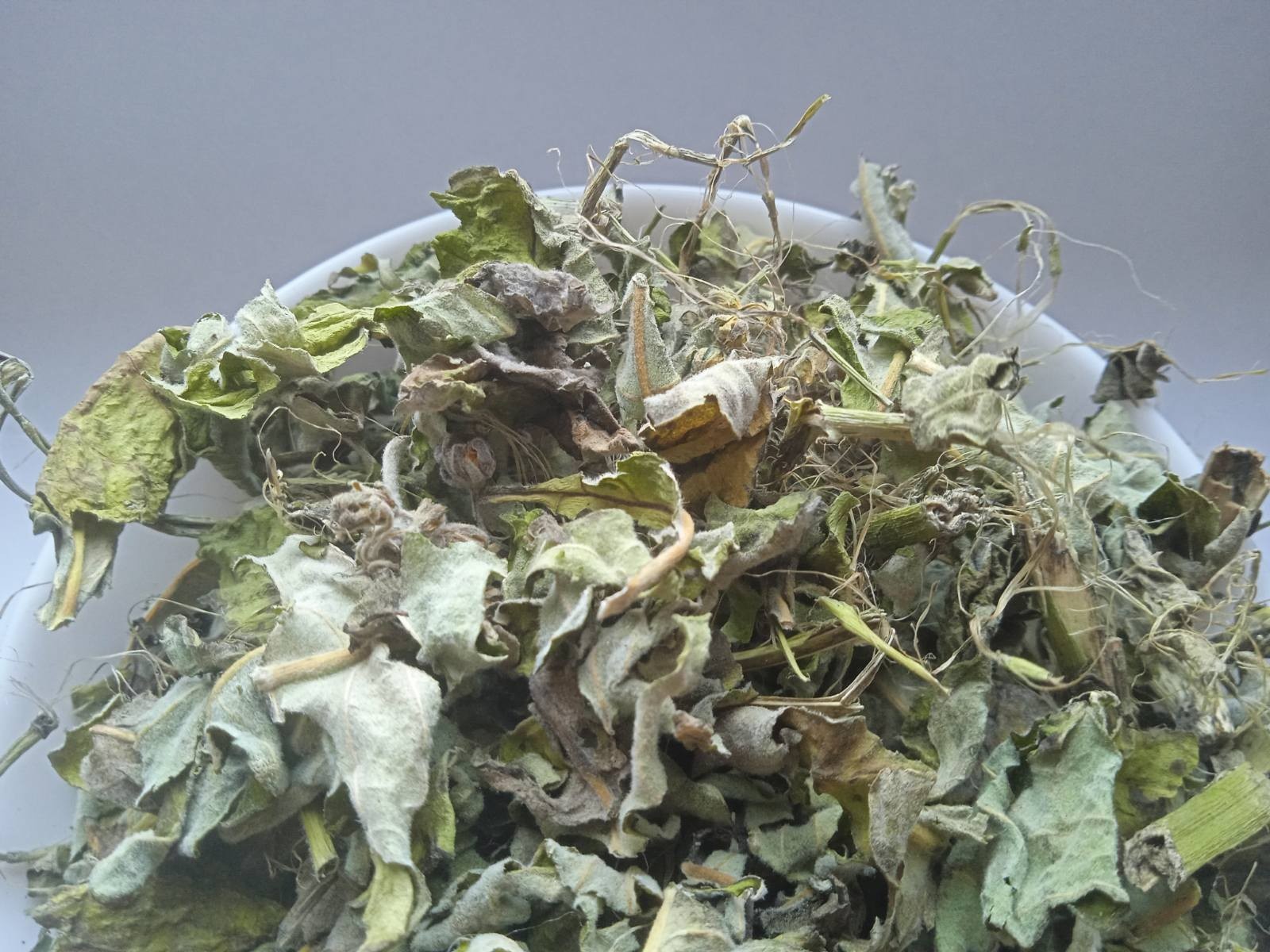 5 Kg 176.4 Oz Common milkweed Grass Asclepias syriaca Dried Medicinal plant
