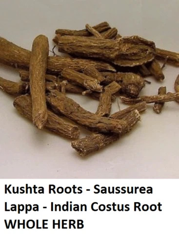 Kushta Root – Saussurea Lappa Costus Root Whole Original Indian Herbs 50g