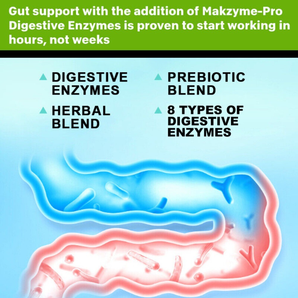 Digestive Enzymes 400mg | 120 Capsules | Probiotic | Healthy Digestion