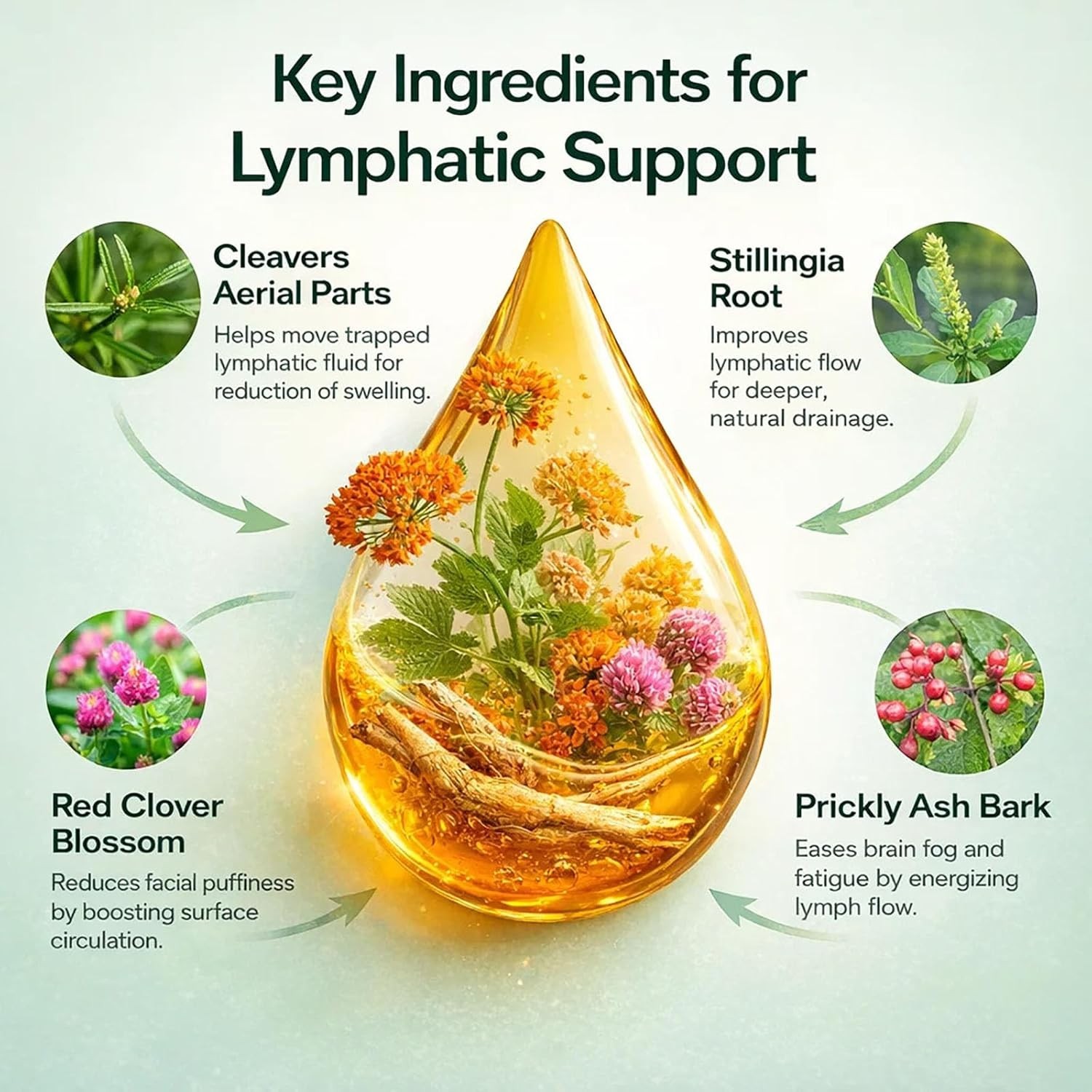 3X Lymphoria – Lymphatic Drainage 59ml – Detox, Bloat Relief & Immune Support