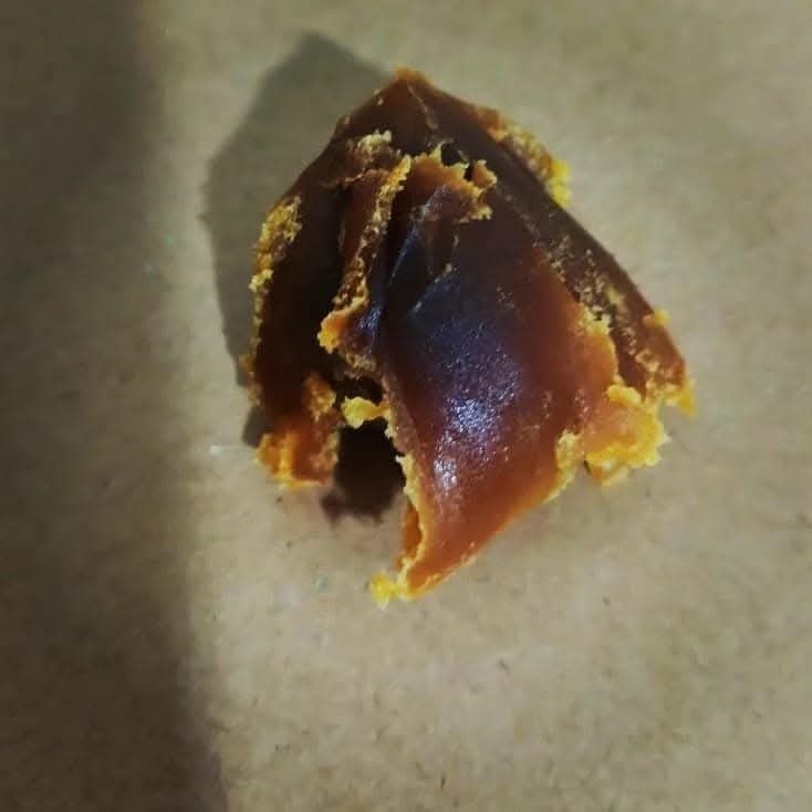 Natural Waxy Ambergris Ambergrisia 1G Amber