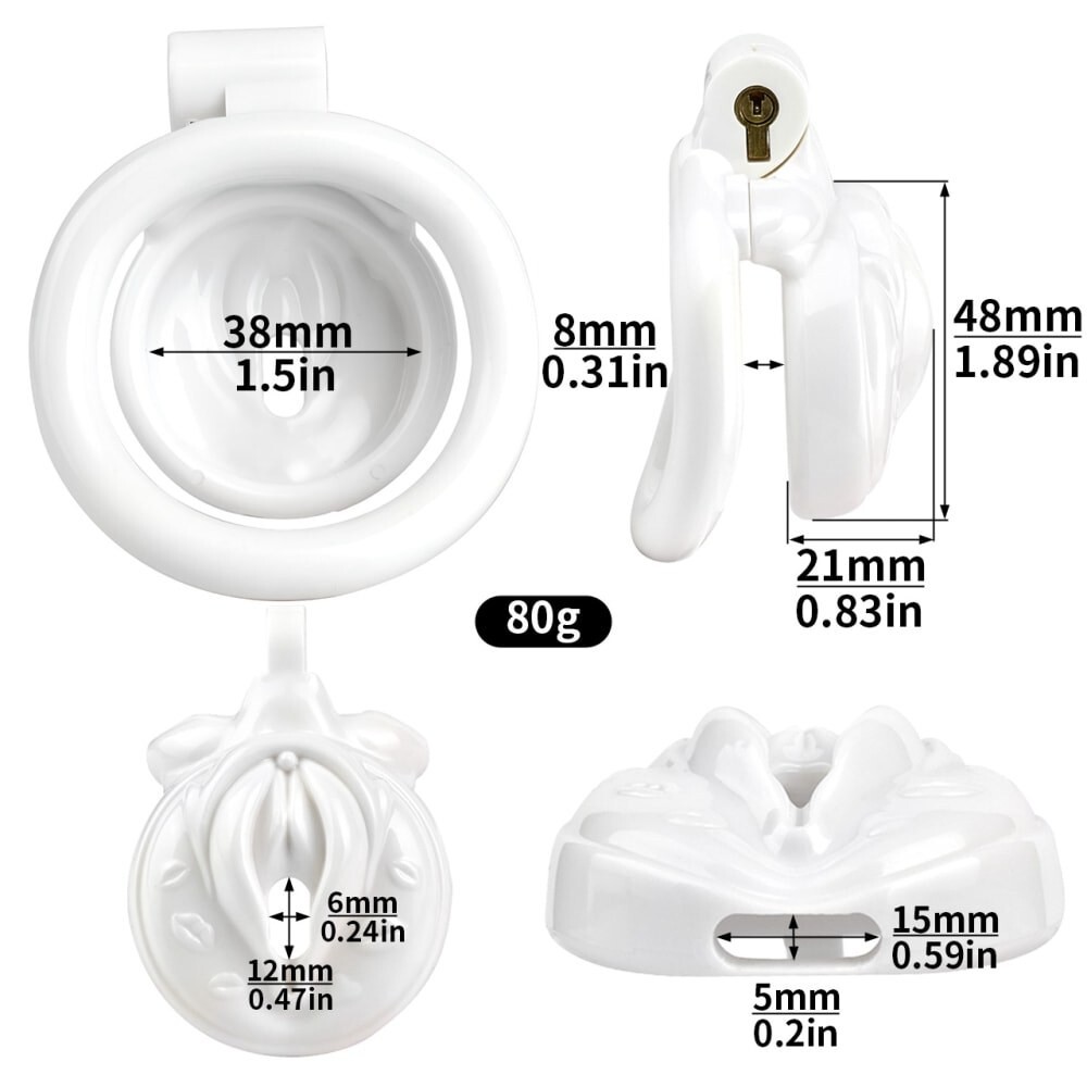 ABS Resin 4 Colors Sissy Realistic Pussy Chastity Cage with 4 Rings Lock Devices