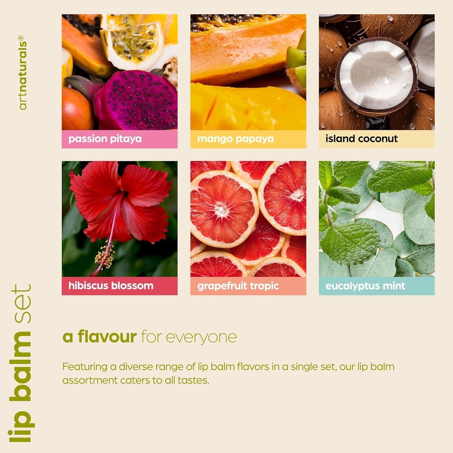 ArtNaturals Beeswax Lip Balm Gift Set – 6 Pack Assorted Flavors with Coconut Oil