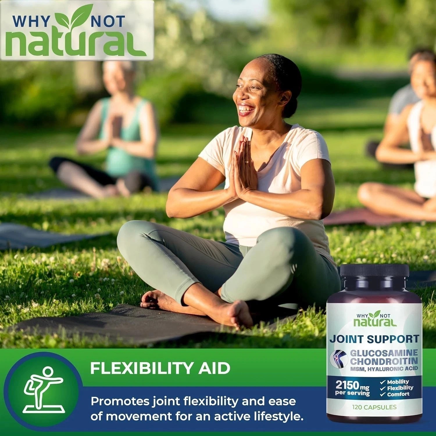 Why Not Natural Joint Support 2150mg – Glucosamine,Chondroitin,Hyaluronic Acid