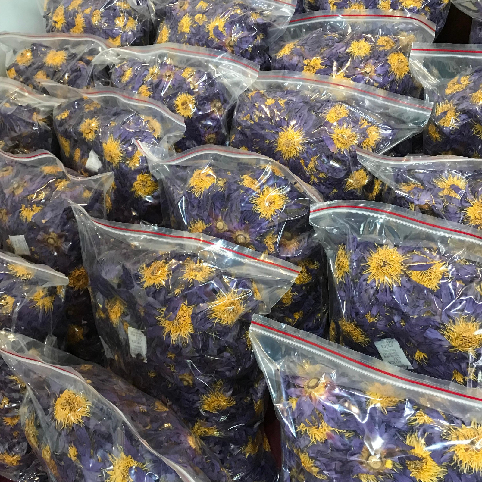 Blue Lotus |Nymphaea Caerulea| 100% Organic Herbal Hand Picked Pure Flowers Tea