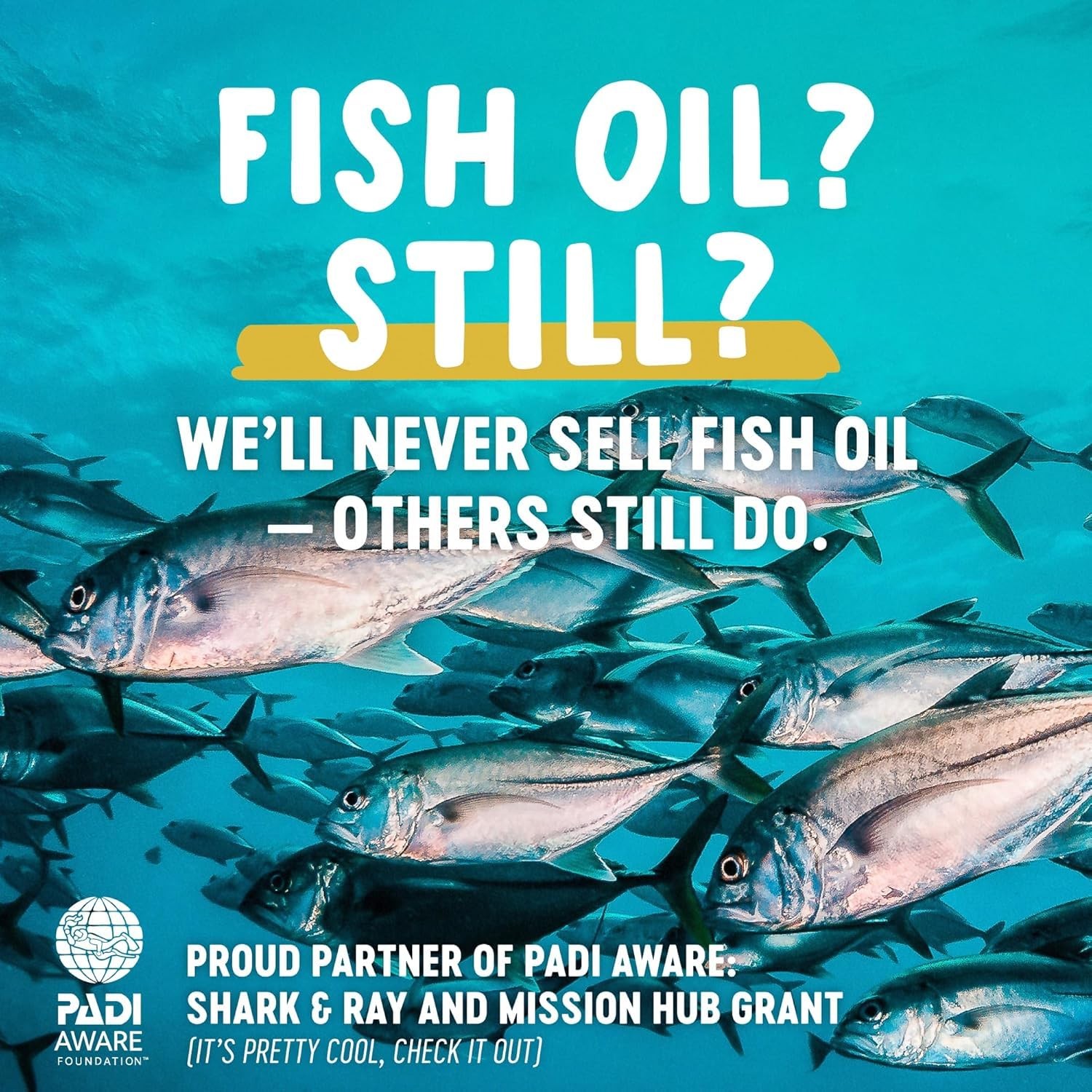Freshfield Vegan Omega 3, Algae Algal Oil, Fish Oil Free Company, Third Party…