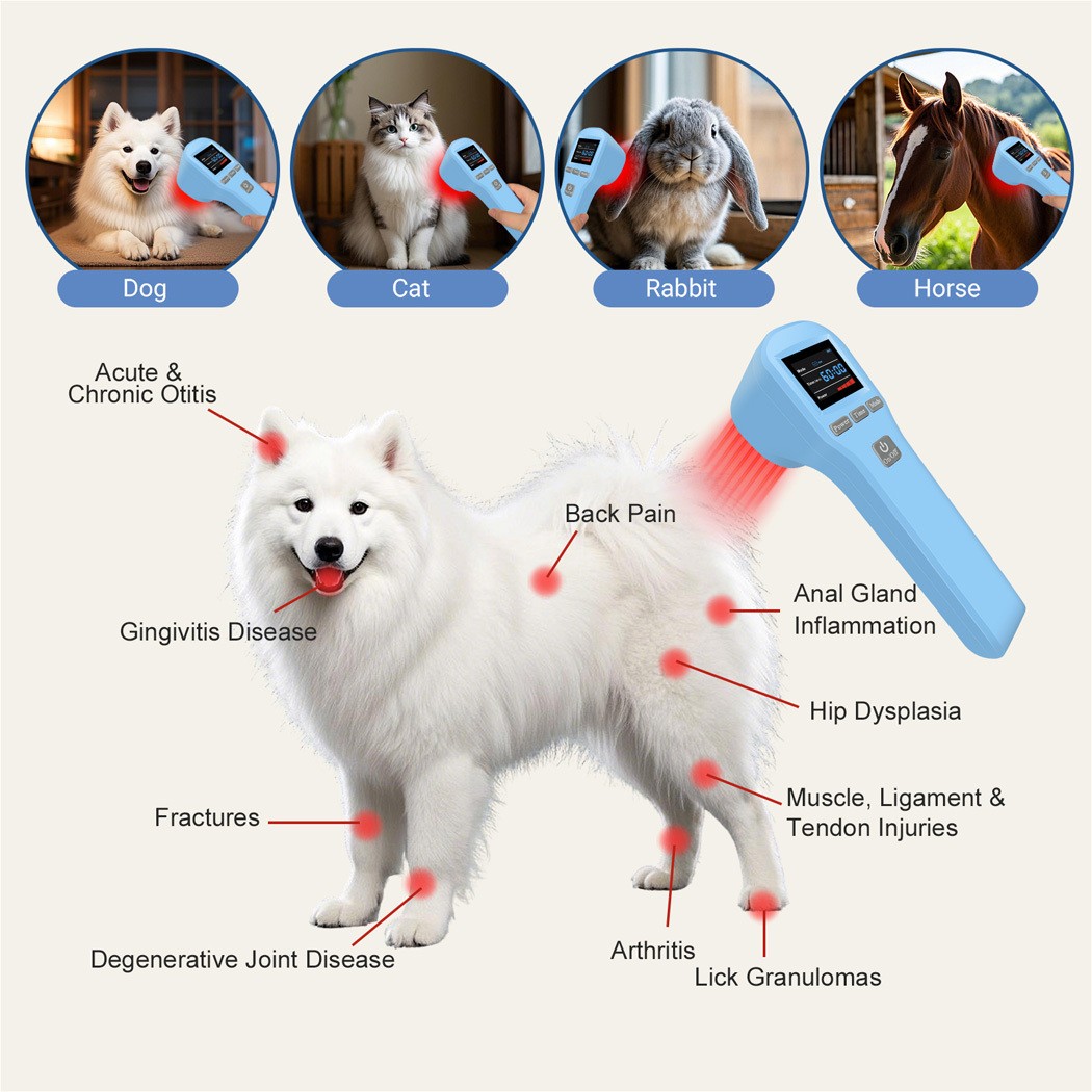880mW LLLT Laser Therapy 650nm 808nm Red Light for Humans & Animals Pain Relief