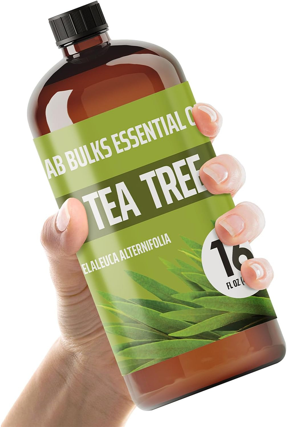 Lab Bulks Essential Oil Tea Tree 16 oz Big 16 Fl Oz (Pack of 1)