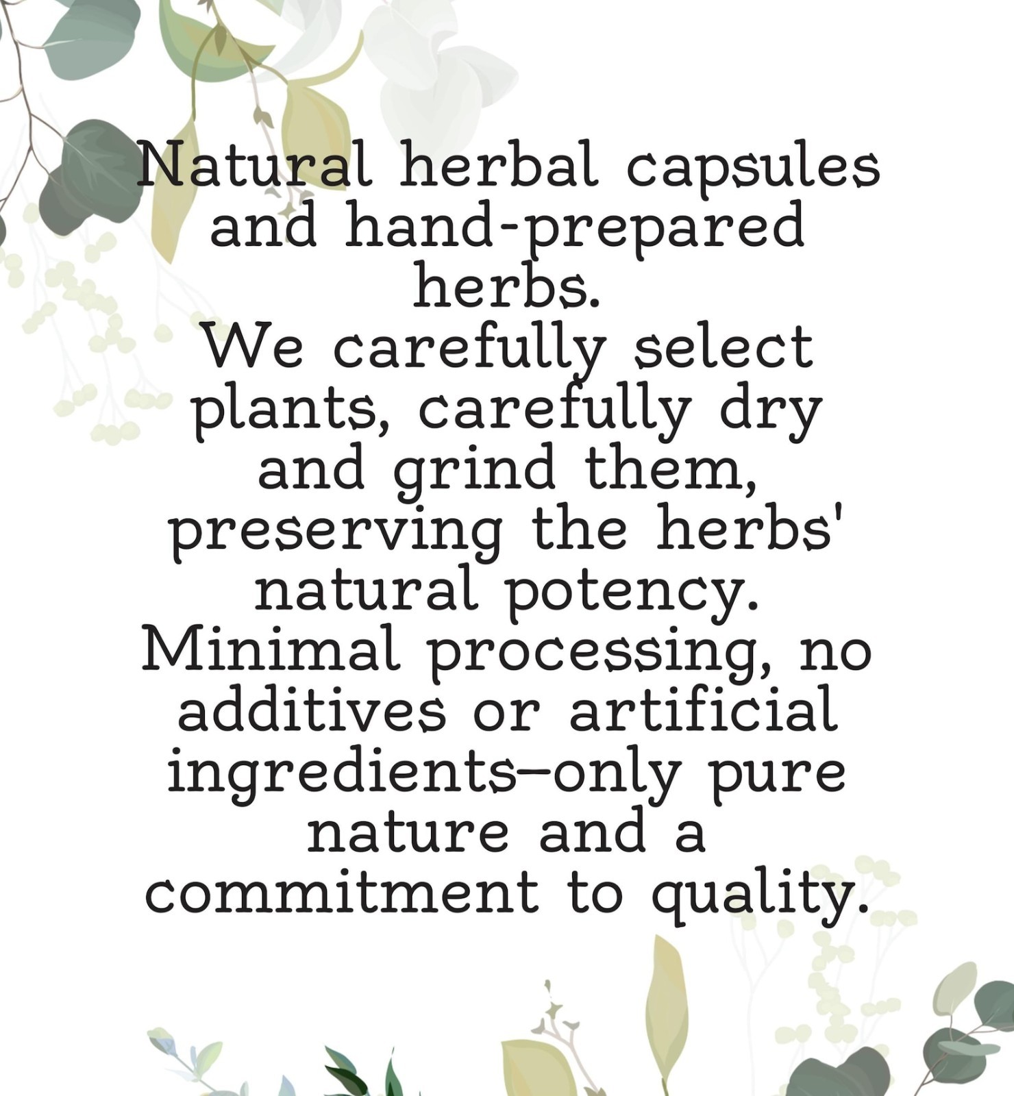 Aerva Herb Capsules – 500 mg | Aerva lanata | Polpala Herbs | Vegan Herbal Caps