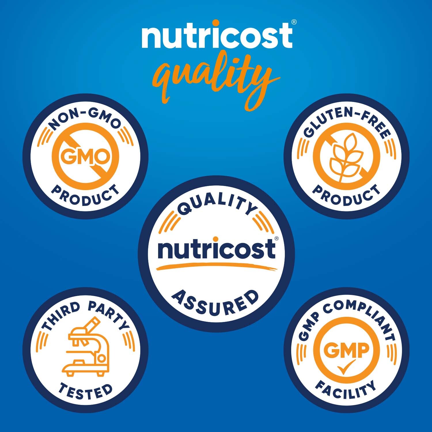 Nutricost Vitamin B6 as Pyridoxine HCl, 100 mg, 240 Caps