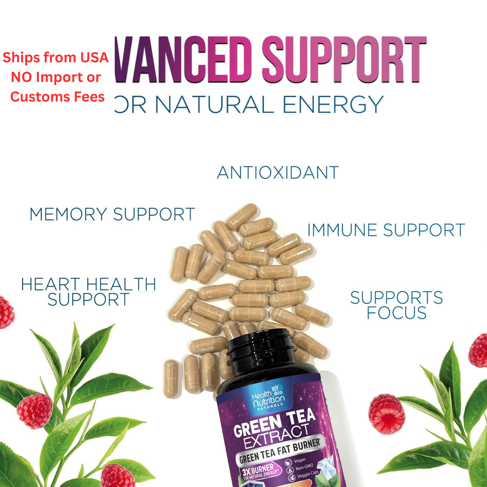 Green Tea Extract Capsules – Standardized 45% EGCG & 98% 60 Count (Pack of 1)