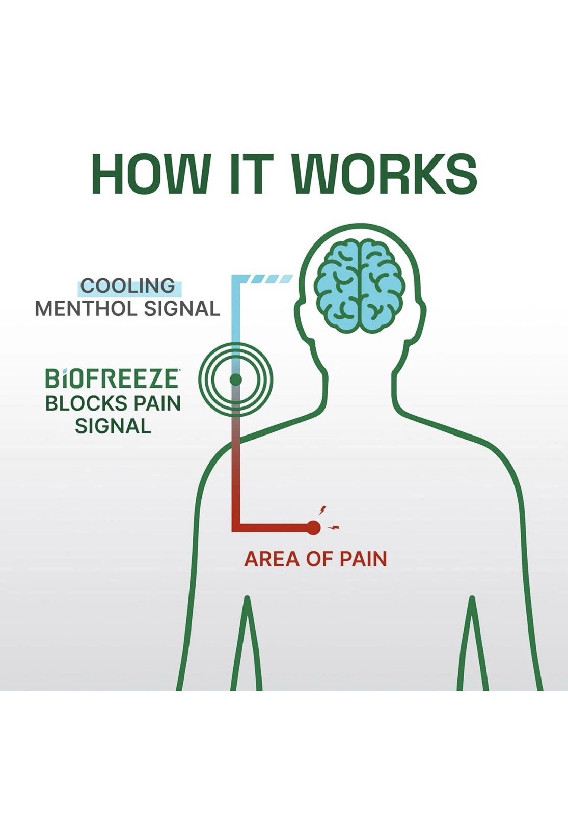 Biofreeze Professional Pain Relief 360 Degree 4oz Spray, 2 packs
