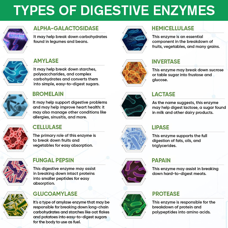 Digestive Enzymes with Papain & Bromelain Gas, Constipation Bloating Relief