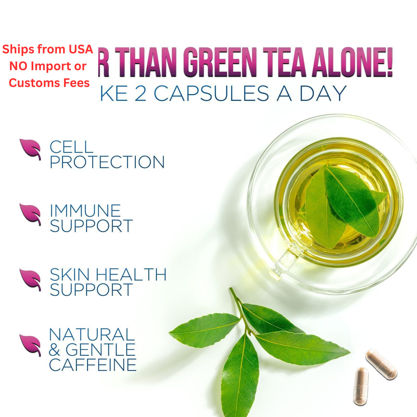 Green Tea Extract Capsules – Standardized 45% EGCG & 98% 60 Count (Pack of 1)