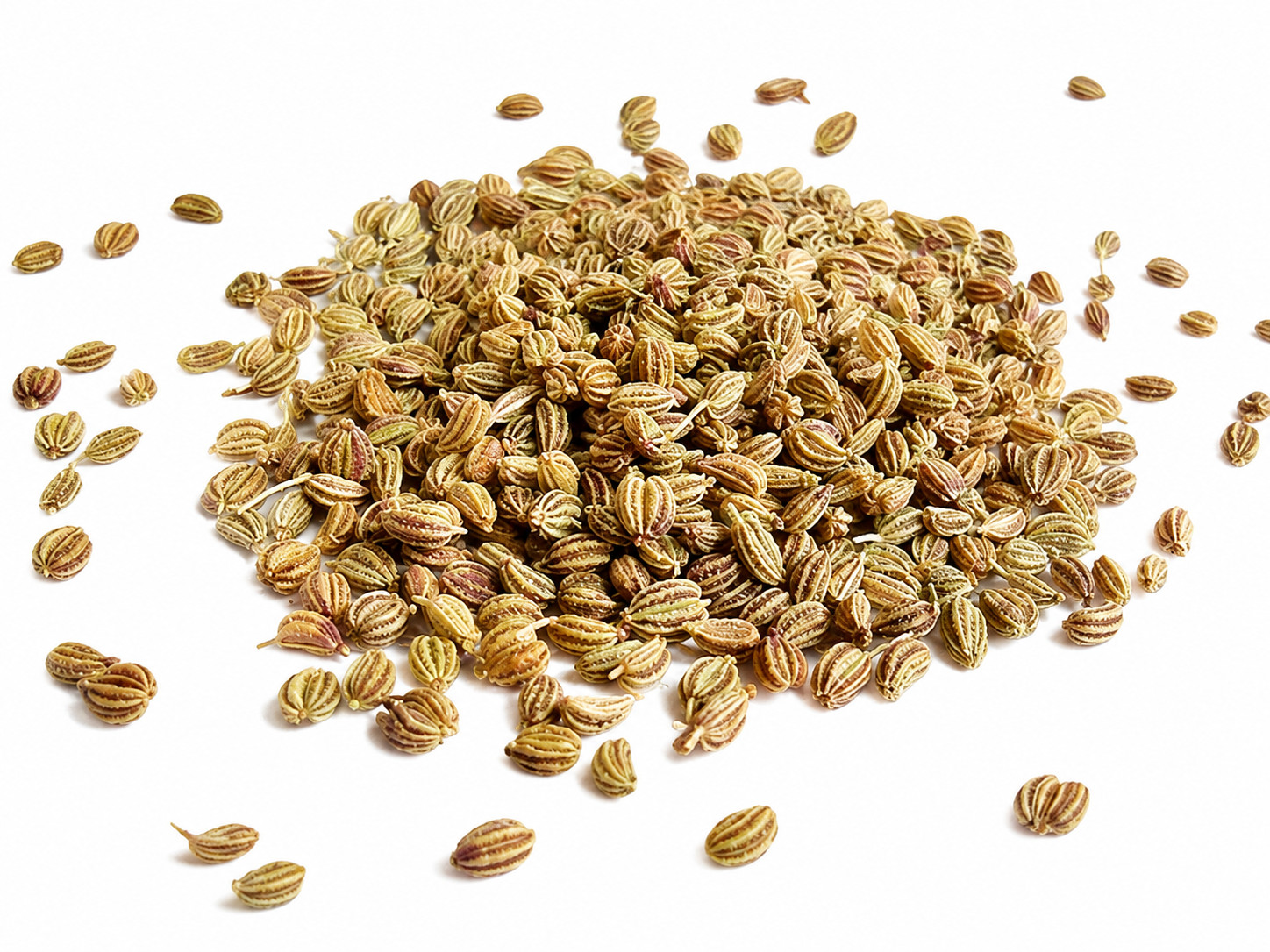 50g Organic Carom Seeds Ajwain Natural Ayurvedic Herbal Digestive Wellness Aroma