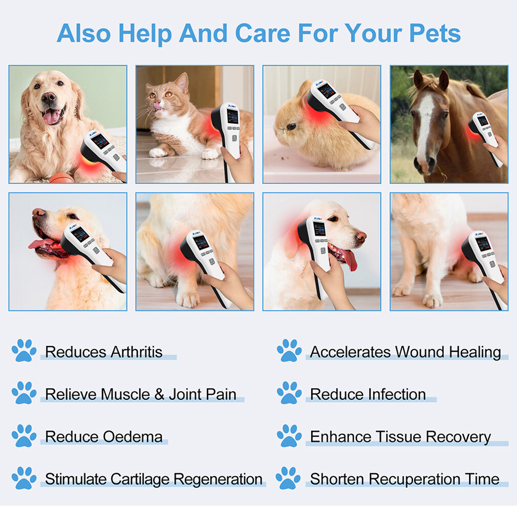 Lllt Light Device Cold Laser Therapy for Dogs Horse And Humans Pain Relief-Offer