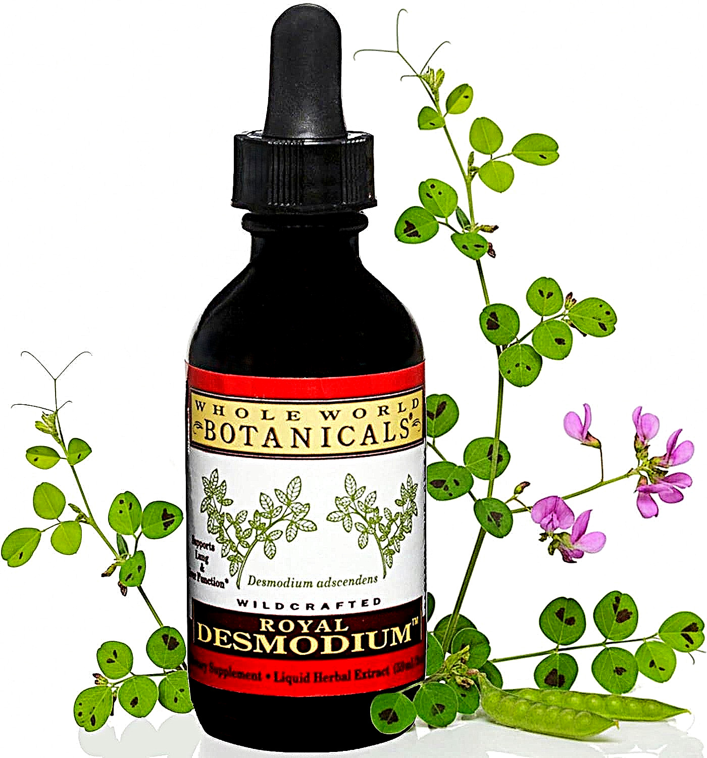 Whole World Botanicals Royal Desmodium Liquid 2 Oz.