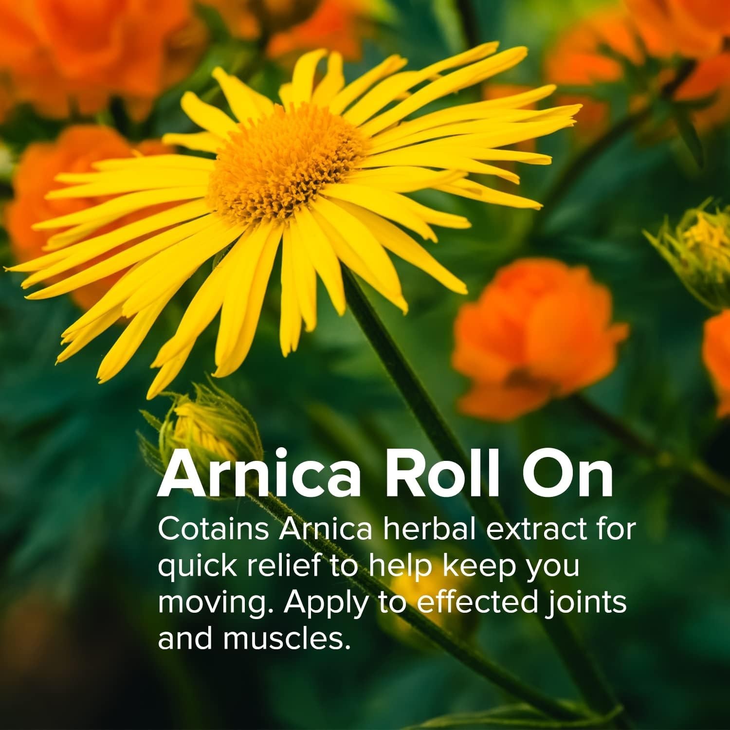 Max Strength Arnica Roll On – 3 oz Clear Gel for Joint Pain and Comfort