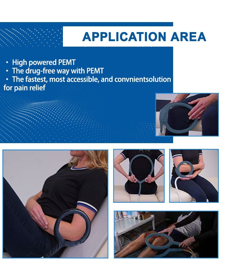 Clinic Physio Magneto PEMF Machine PMST Loop Human Horse Body Relax Equipment