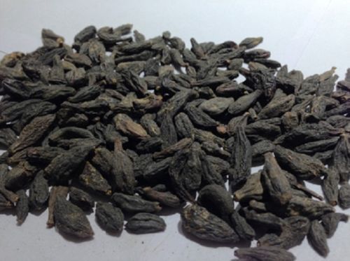 HARITAKI BLACK CHEBULIC MYROBALAN TERMINALIA CHEBULA HARDA Free Ship – 50 gram