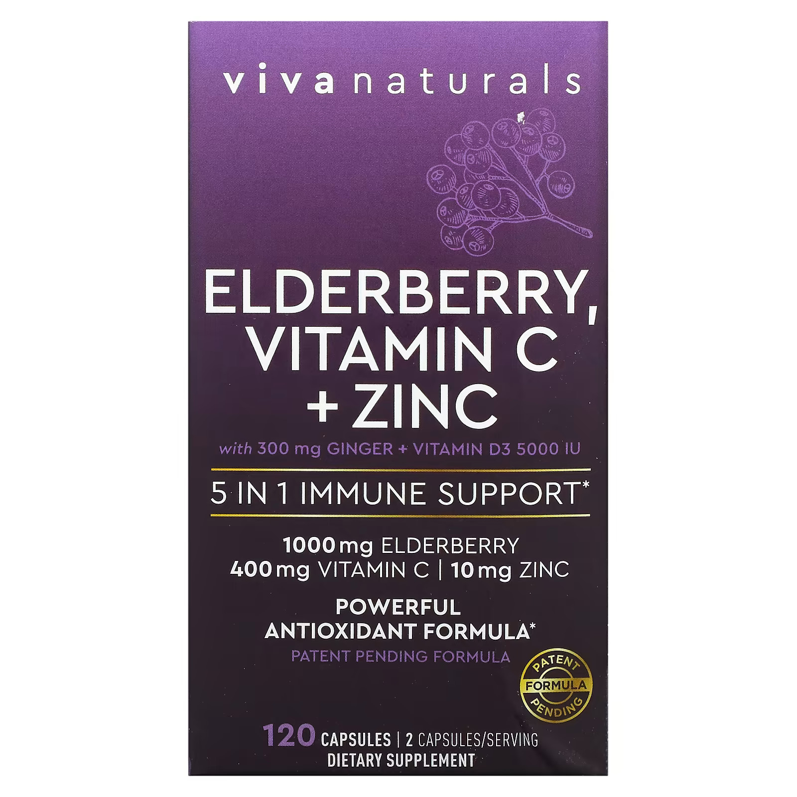 2 X Viva Naturals, Elderberry, Vitamin C + Zinc, 5 in 1 Immune Suppor-worldwide