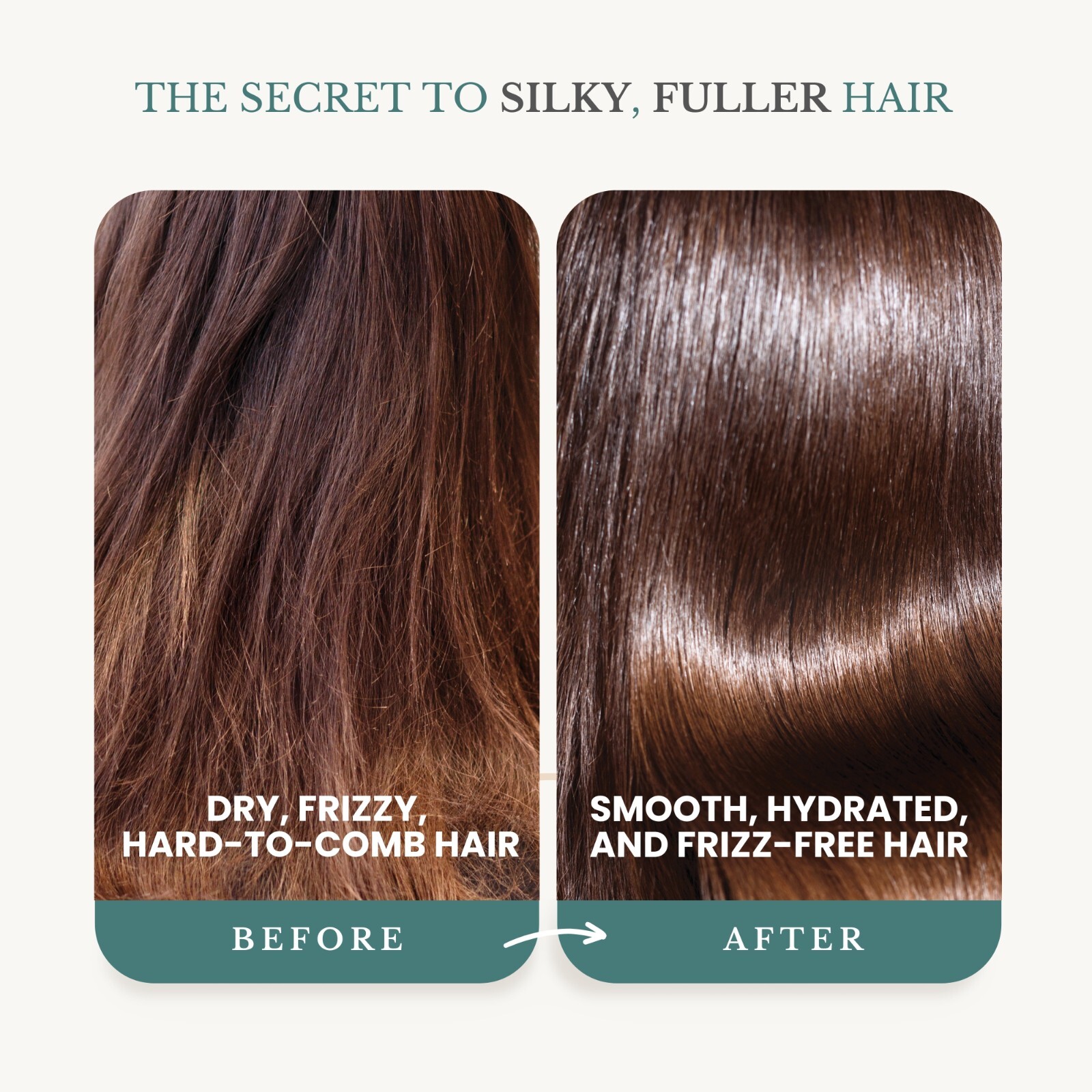 Edenika Rosemary Shampoo & Conditioner Set – Detoxifying, Nourishing Hair Care