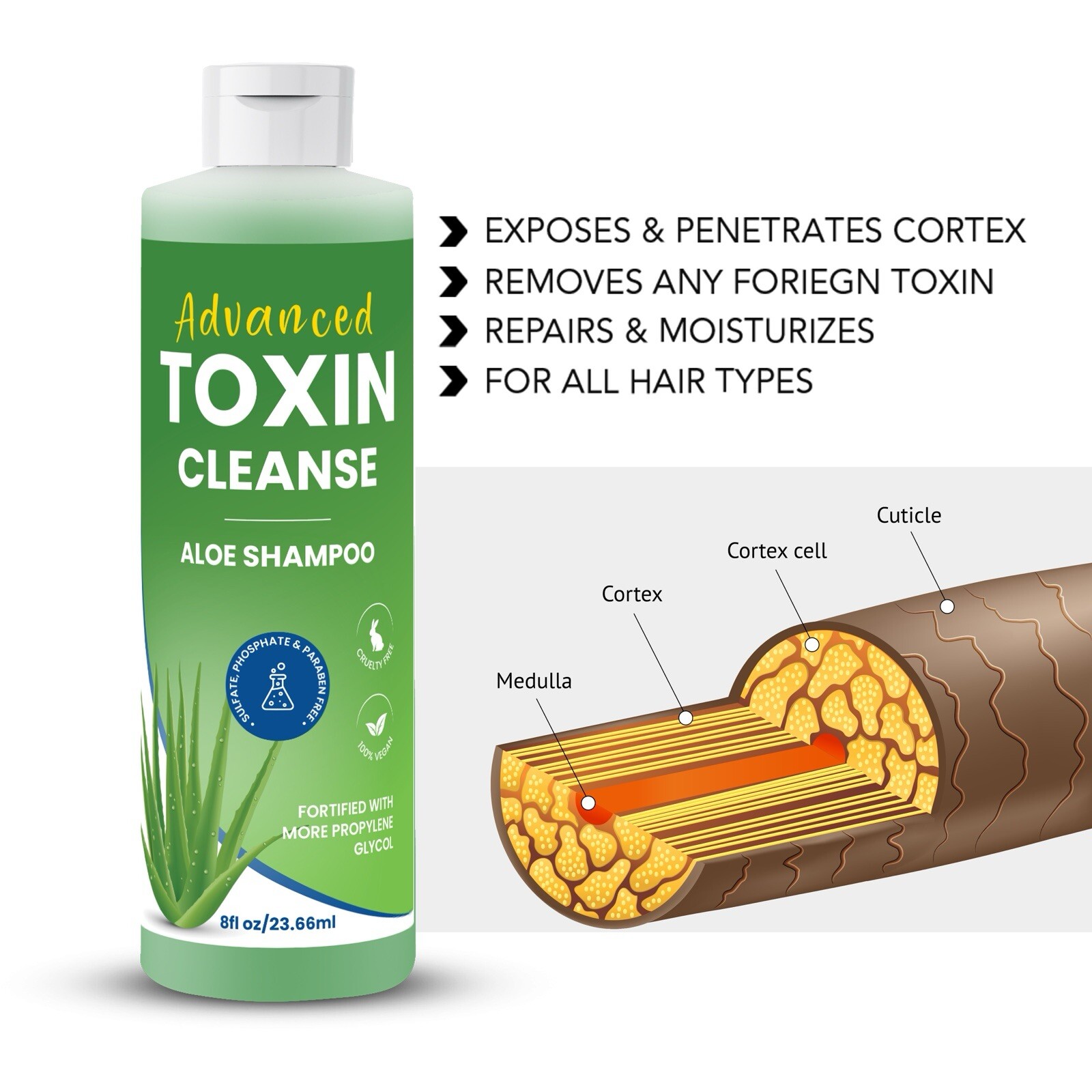 (2) Advanced Toxin Cleanse Detox Shampoo – Pass Hair Follicle Test w/Directions