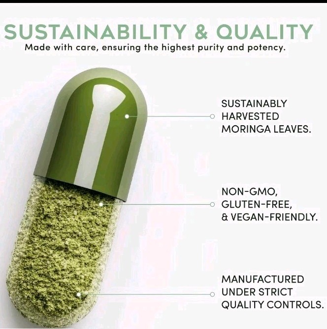 Pure Moringa Energy Gut Detox Cleanse Mood Superfood Antioxidant Greens Non GMO