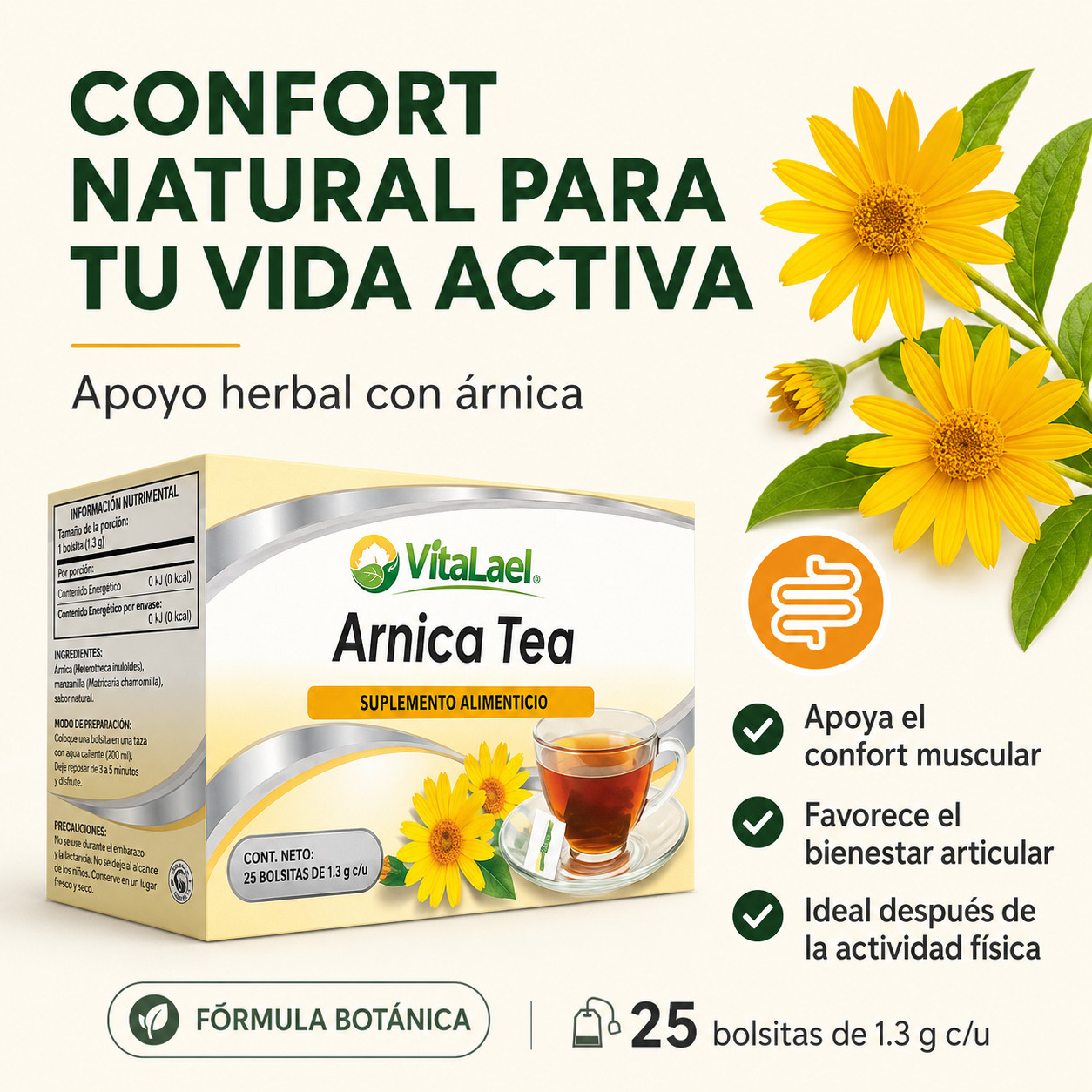 Arnica Montana Tea 25 Bags Herbal Muscle & Joint Comfort Support VitaLael