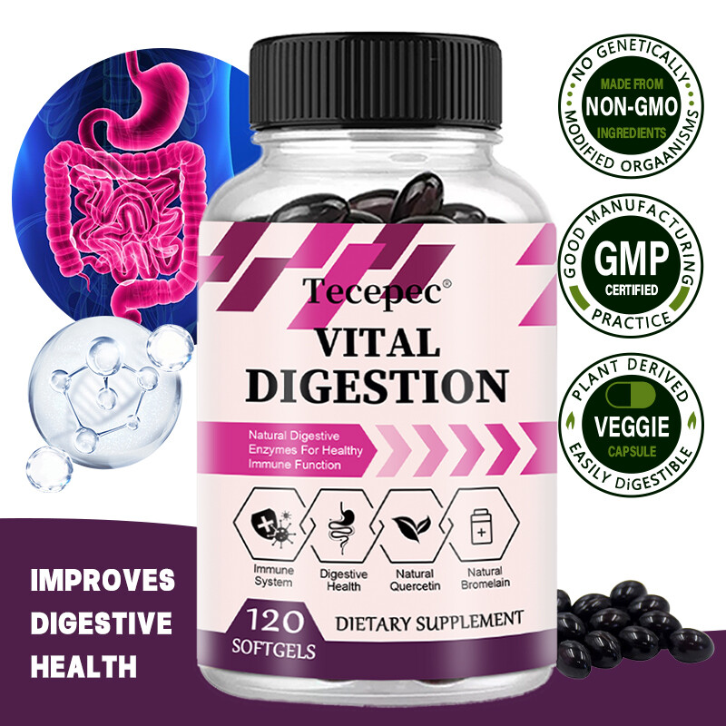 Healthy Digestive System With Enzymes Bromelain Nutrient Absorption 120 Capsules