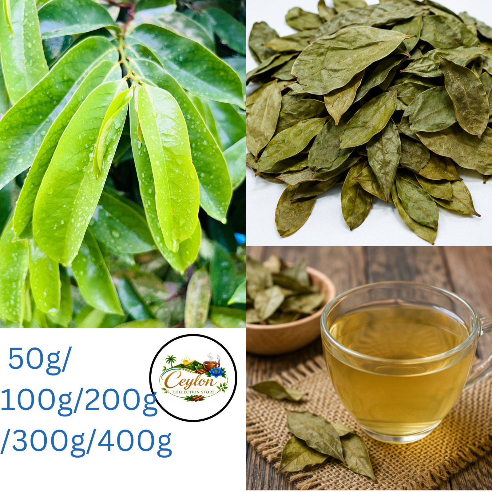 Dried Soursop Leaves Natural Graviola Leaves Herbal Tea Premium Quality