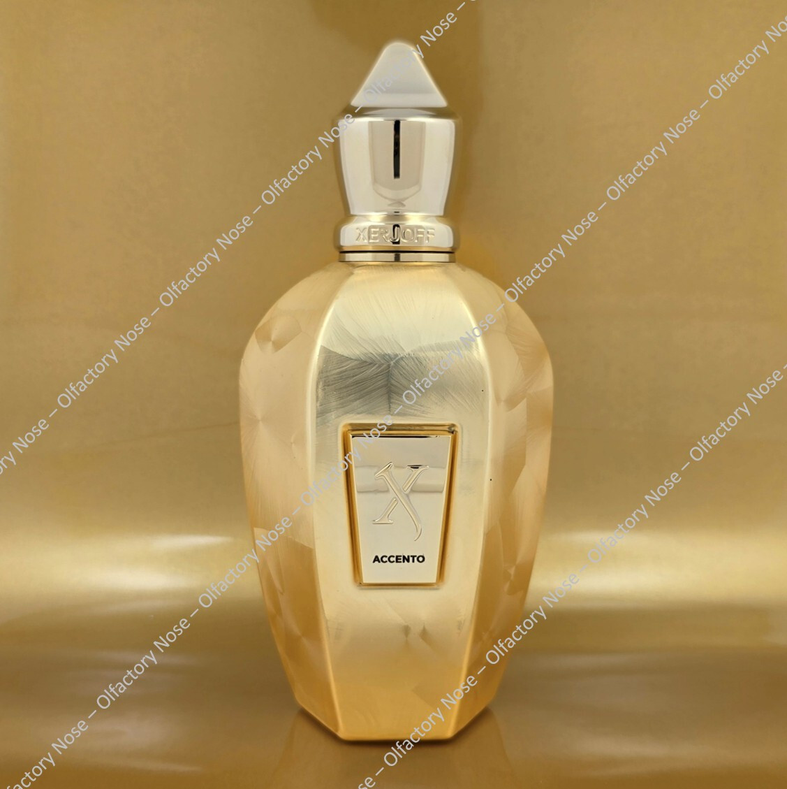 Xerjoff Accento Overdose 100mL 3.4oz – New TSTR