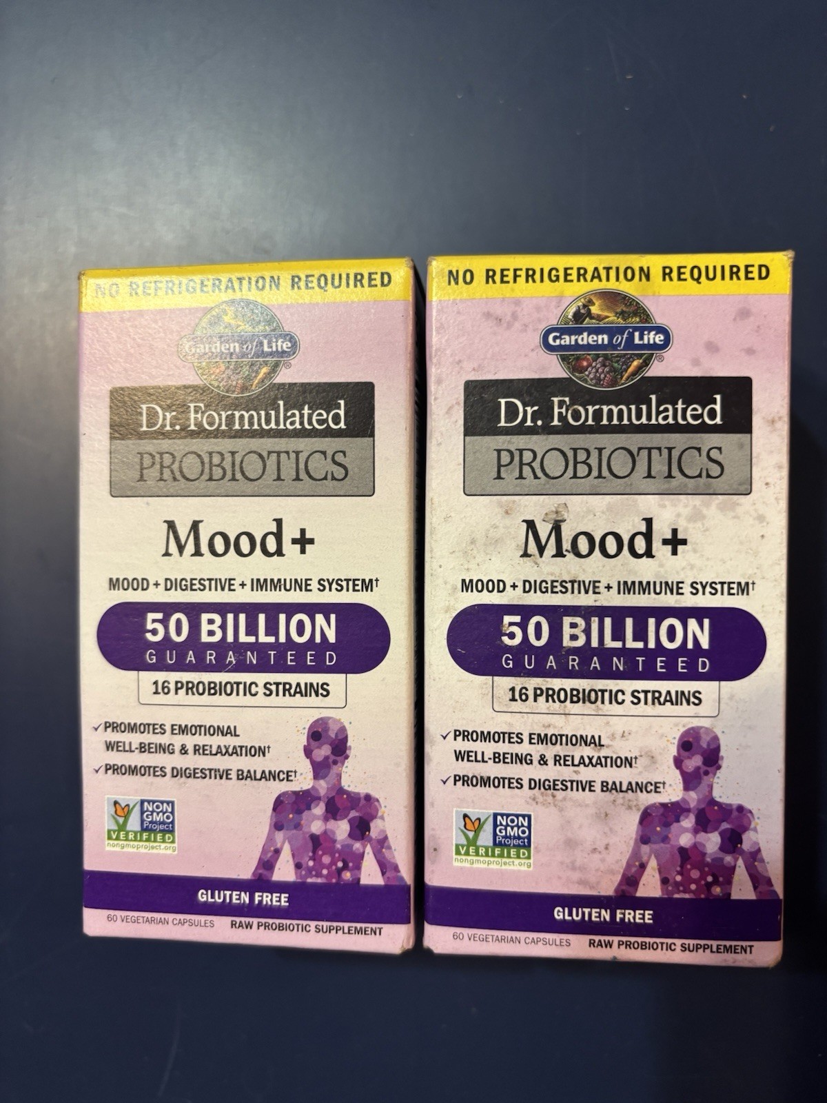 2 Garden of Life Formulated Probiotics Mood+ 50 Billion Best Used 07/26