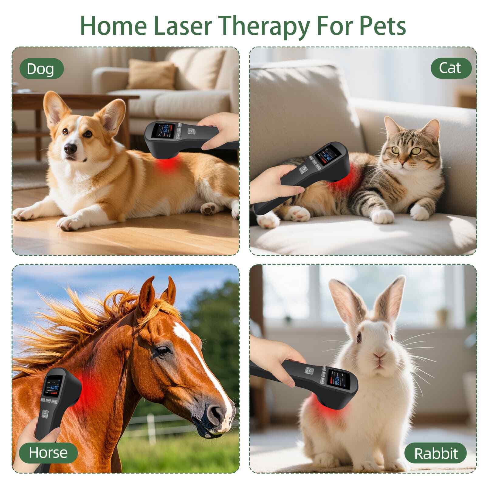 Deep Tissue Laser Therapy Device for People & Pets 880mW Portable Pain Relief