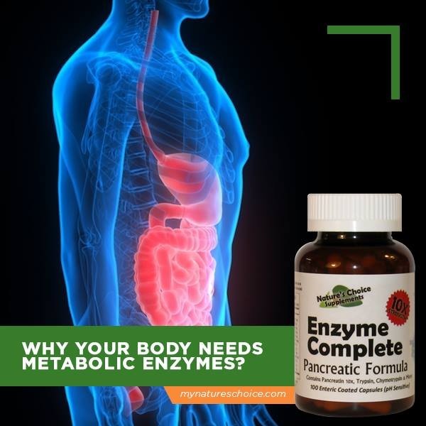 Enzyme Complete Protocol with Trypsin & Chymotrypsin
