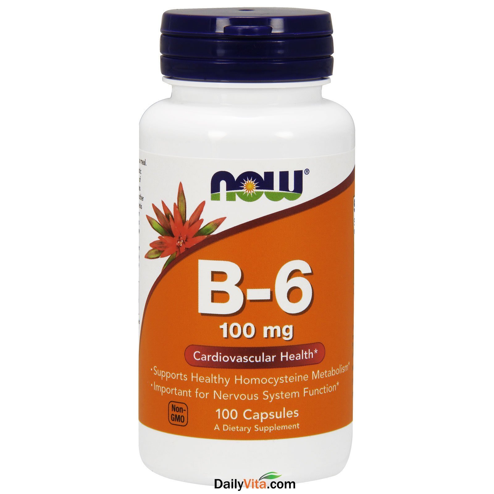 NOW FOODS Vitamin B-6 100 mg 100 Veg Capsules